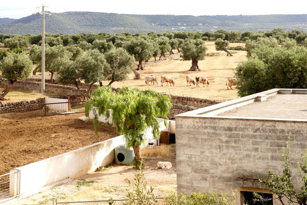 Masseria Curatori Monopoli Εξωτερικό φωτογραφία