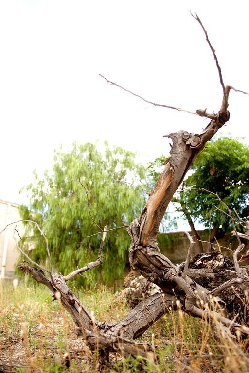 Masseria Curatori Monopoli Εξωτερικό φωτογραφία