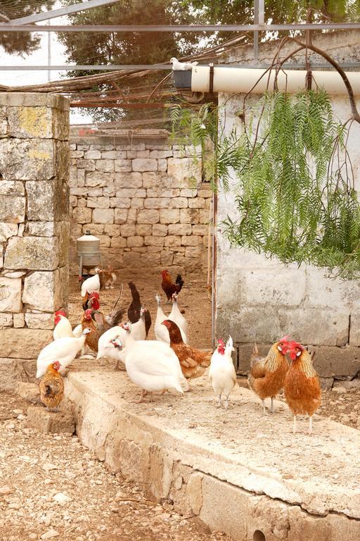 Masseria Curatori Monopoli Εξωτερικό φωτογραφία